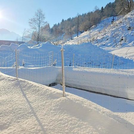 Ferienwohnungen Raffler Файбербрун Екстериор снимка